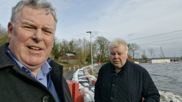 Mullooly to run in EU elections for Independent Ireland