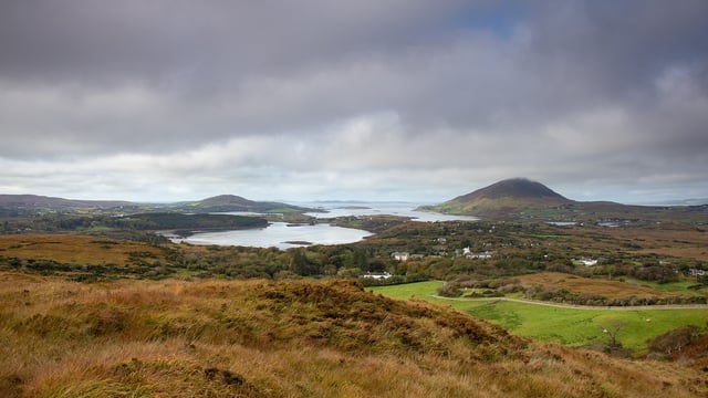 Coillte refused permission to fell over 200ha for peatland restoration