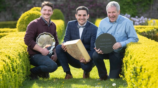 Winners of 2024 Irish Cheese Awards announced