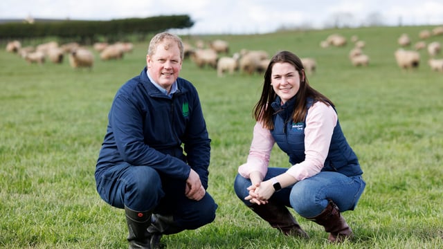 IGA sheep event set for Donegal farm next month