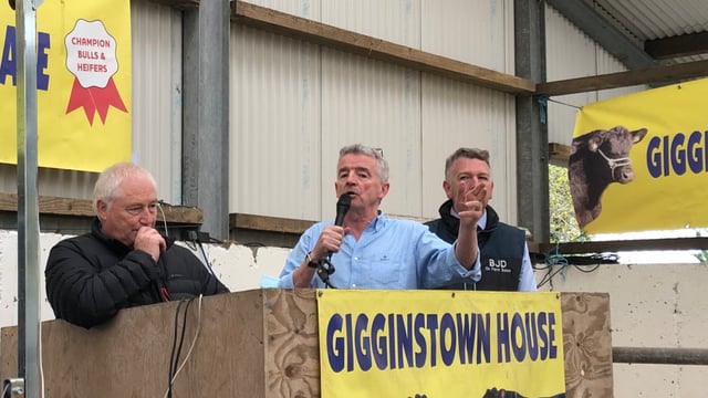 Ryanair CEO set to host on-farm Angus sale this Saturday