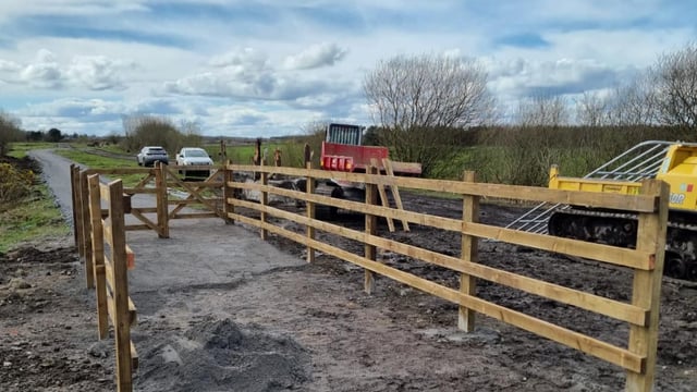 Gardaí investigate 'significant' theft of timber in Tipperary