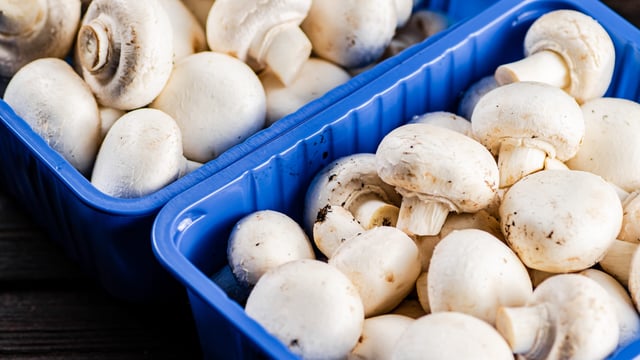 51% rise in horticulture input prices over past 5 years