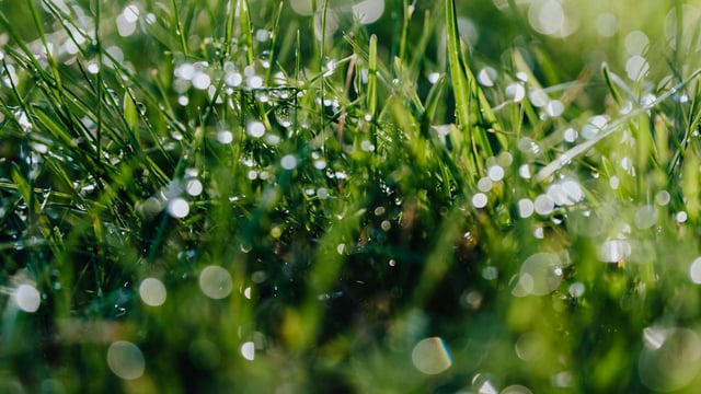Met Éireann: Coming week to be 'more unsettled' 