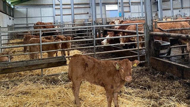 Weather woes highlighted on ABP monitor farms in Sligo