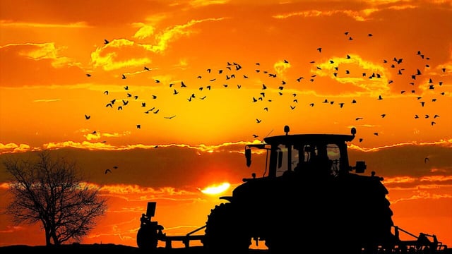 Senator: Mercosur is a 'direct threat' to family farms