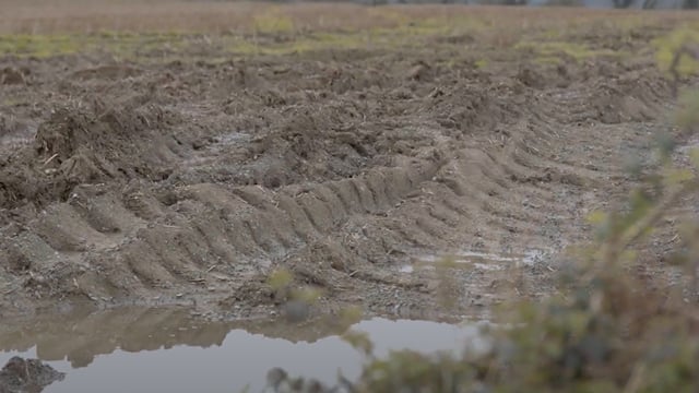 Watch: Farmer warns that stress over weather will 'break people'