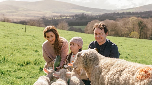 Wicklow wool business creates 'farm to yarn' network