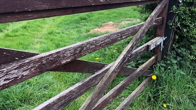 Boyhan: Unannounced farm inspections 'issue we need to address'