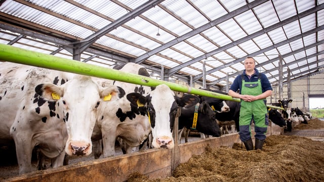 Research on Antrim farm identifies heat stress in animals