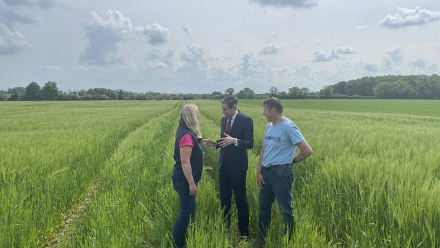 Watch: Taoiseach to 'build on' support for tillage farmers