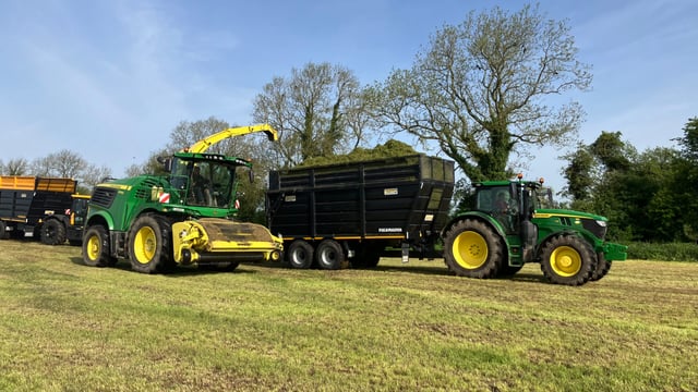 Should we grab weather window to make high-quality silage?