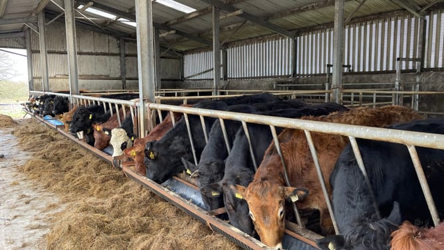 Factory quotes: Beef price offerings tighten further