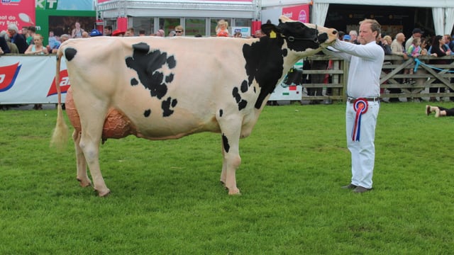 Mostragee Holsteins win Balmoral Inter-Breed Dairy Championship