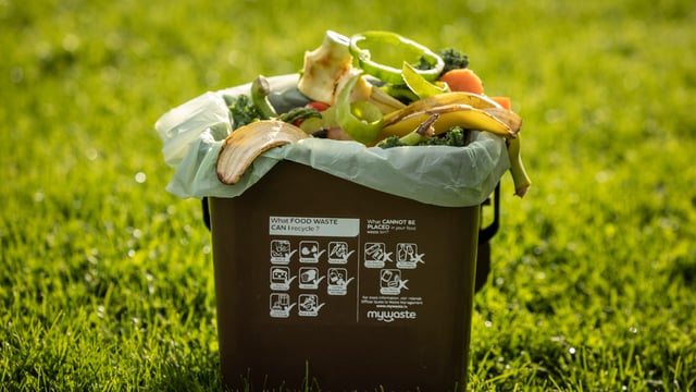 EEA: More efforts needed for 'huge' food waste problem
