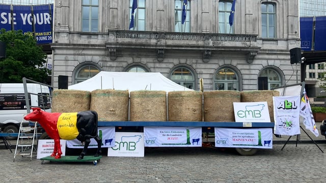 Watch: Irish dairy farmers take part in Brussels protest