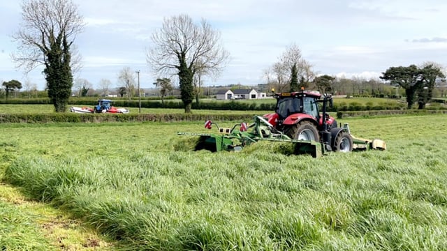 Spring planting now well underway in south Antrim