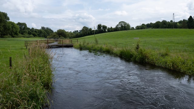 Nitrates changes 'present further challenges' - Murphy