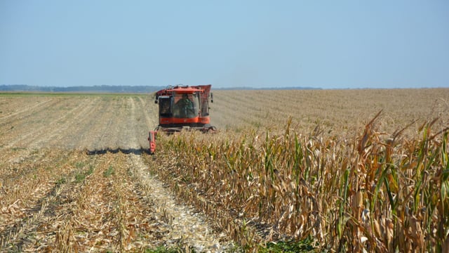 EU agri groups call for 'carefully balanced' approach to Ukraine