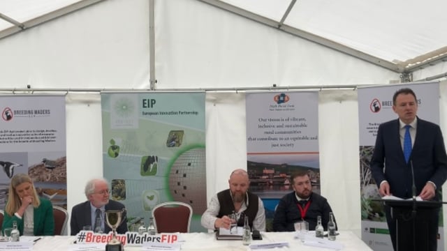 Watch: Minister outlines payment rates for breeding waders project