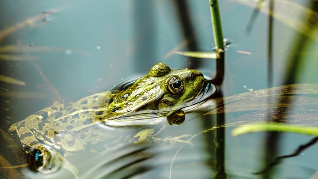 Landowner project part of €2.8m biodiversity funding boost