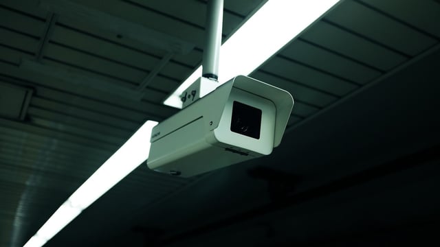 CCTV to be mandatory for slaughterhouses in Wales