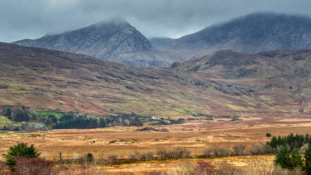 NPWS to remove deer fence in Connemara National Park
