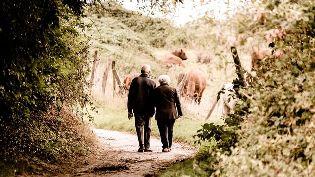 People urged to check-in with elderly neighbours