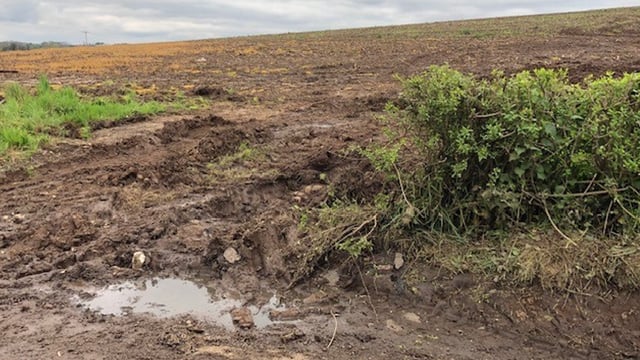 Farmer tells TD there is 'no joy in farming' just red tape
