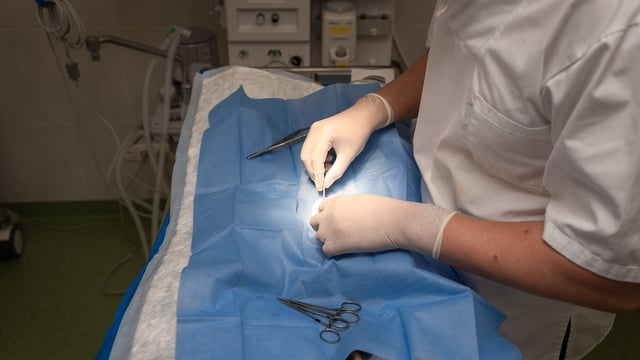 CVS vet group sells Dutch and Irish businesses for €2