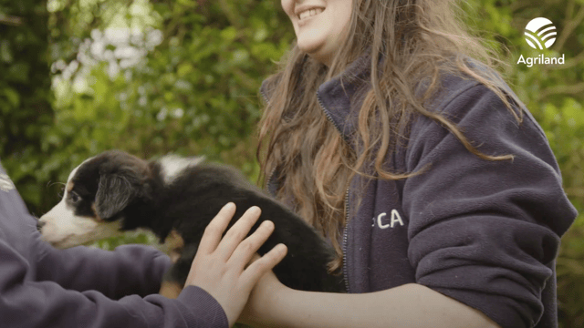 Watch: ISPCA marks 75 years of protecting Ireland's animals