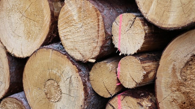 Over 25,000t of logs imported  from Scotland so far in 2024
