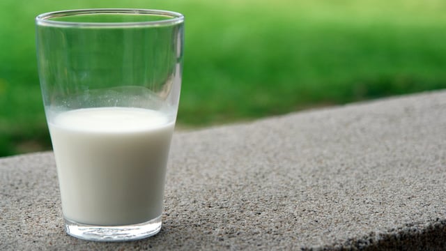 Grass to food: How sustainable is Ireland's dairy sector?