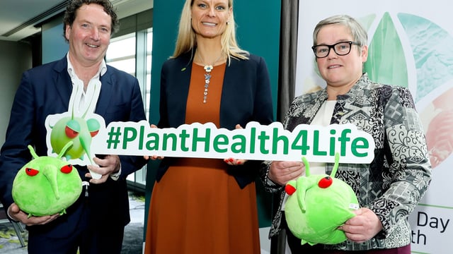 DAFM: Do not import unchecked plants that 'pose a risk'