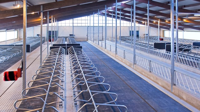 Over three quarters of TAMS tranche 2 applications approved