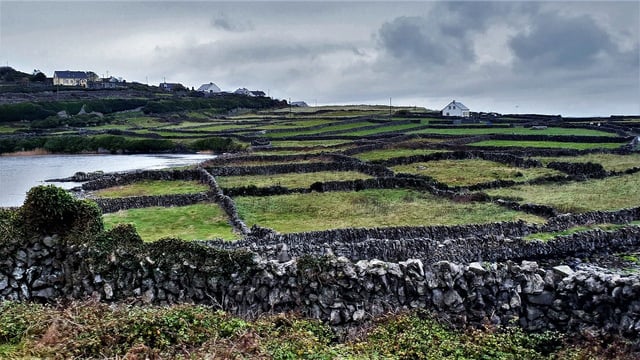 Gorman to address AGM of Irish Rural Link on 'future of agriculture'