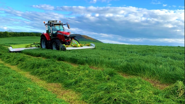 Weather window for silage-cutting expected this week
