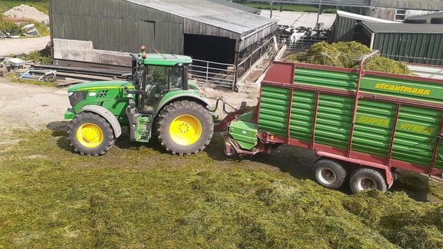 The importance of not delaying your first cut silage