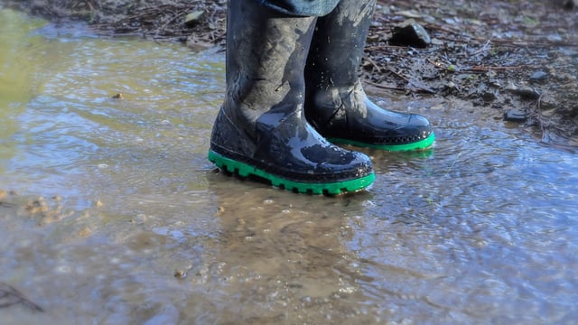 DAFM seeking tenders for young people farm safety projects
