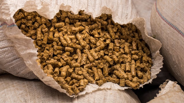 Series of workshops start tomorrow on wood fuel drying