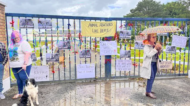 Operations at horse abattoir in Co. Kildare suspended by minister