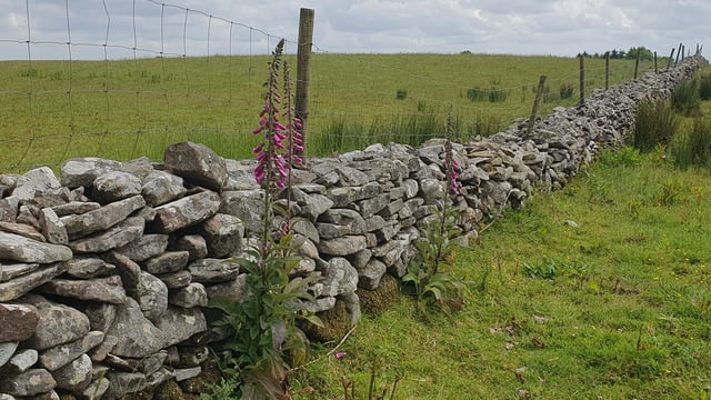 Farmer reports missing sheep on private mountain for second time