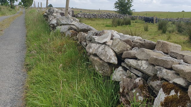 Watch: Are you thinking of restoring dry stone walls?