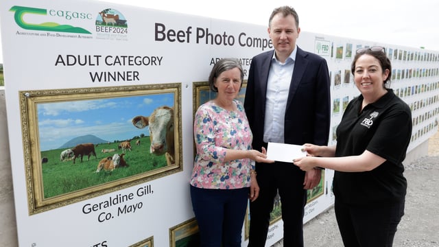 Top prizes announced for beef farming photography