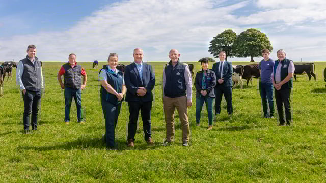 Bank of Ireland teams up with Cork co-ops for new farmer loan