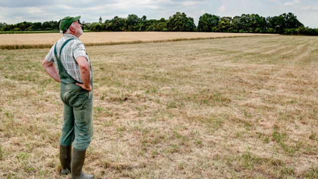 Agri-advisors help to guide support services for farmers