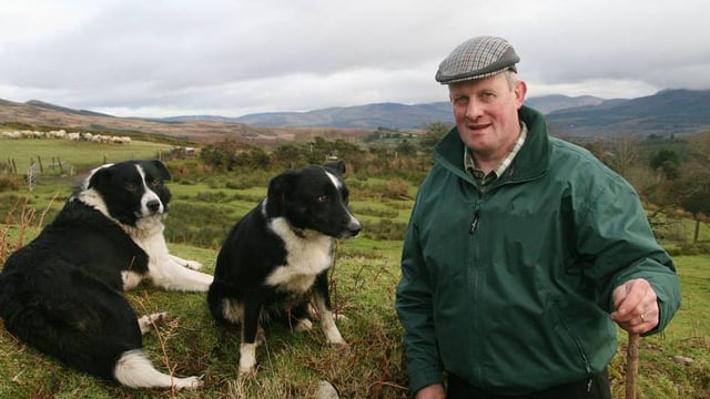 Watch: Kenmare Mart manager dances back to council seat