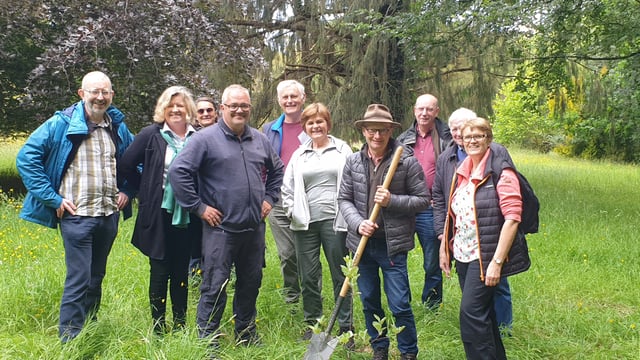 ITGA presents 'unique' native tree to Emo Court in Laois