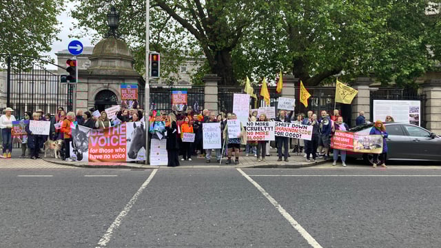 Watch: Protesters at Dáil call for permanent closure of horse abattoir