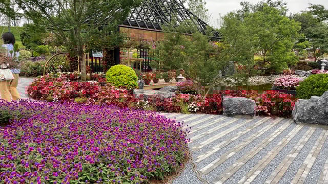 Watch: 2024 International Horticultural Expo in China